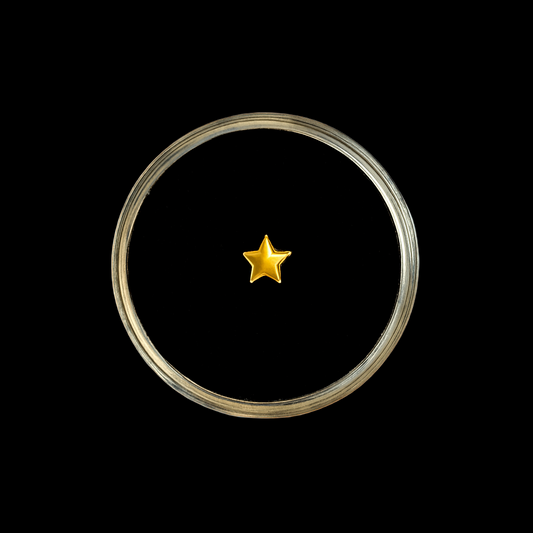 Gold  Charm mini Star - Gelbgold